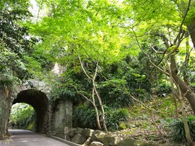 今年はバラの見頃時期を狙って５月下旬に訪問。