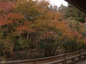 この日の妙本寺のベストポイント。