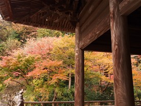 祖師堂の左脇の紅葉。別の角度から(その1)
