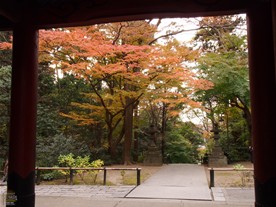 二天門周辺の紅葉。