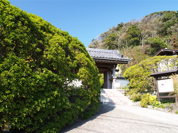 安養院 ツツジの名所 鎌倉観光マップス 安養院 ツツジの名所 鎌倉観光マップス
