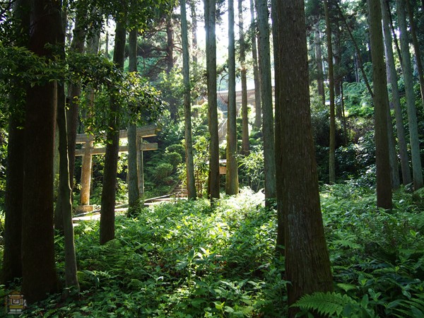 朝夷奈切通 鎌倉七口の現存最長古道 鎌倉観光マップス 朝夷奈切通 鎌倉七口の現存最長古道 鎌倉観光マップス
