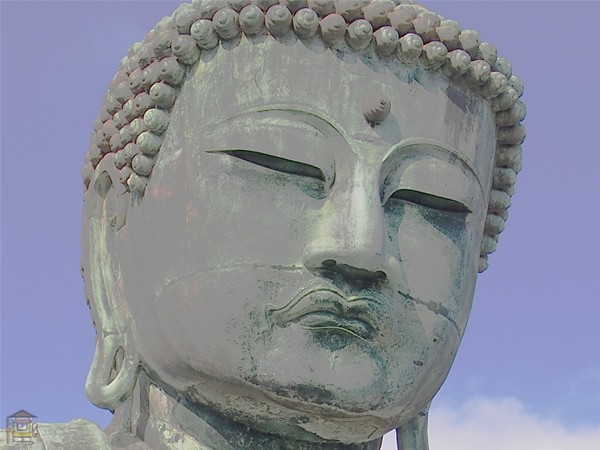 高徳院 鎌倉大仏 国宝 鎌倉大仏でおなじみのお寺 鎌倉観光マップス 高徳院 鎌倉大仏 国宝 鎌倉大仏でおなじみのお寺 鎌倉観光マップス