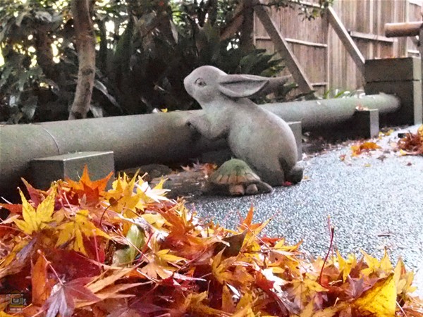 明月院 丸窓越しに眺める紅葉 鎌倉観光マップス