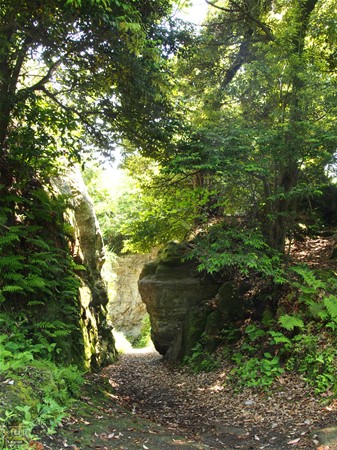 名越切通 交通 防御の要所 鎌倉七口 鎌倉観光マップス