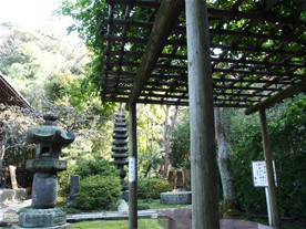 藤棚などもある。