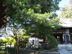 境内の様子。左に見える木(枠に収まっていないが…)は、市指定天然記念のマキ。