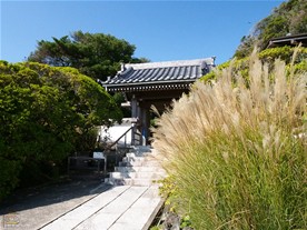 鎌倉観光スポット（南部） 安養院