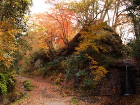 鎌倉側入口周辺の様子。朝夷奈切通での紅葉観賞はこの辺りが最適と思われる。