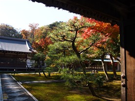 長寿寺 足利尊氏ゆかりのお寺！期間限定公開！