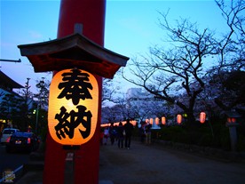 日が沈むと段葛の提灯に灯がともる。