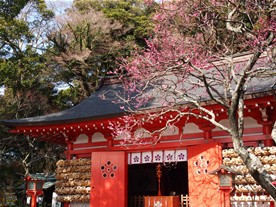 本殿の両脇には絵馬がびっしりと並ぶ。菅原道真を祀る神社だけに多くは合格祈願？