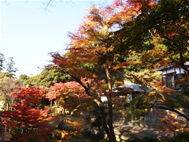 妙香池付近の紅葉。