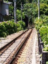 この日の紫陽花の咲き具合はまだ見頃より少し前だったが、それでも多くの人がカメラを持ってトンネルから電車が出てくるのを待っていた。電車が走る間隔は12分程。シャッターチャンスを逃したら次の電車まで再び12分待つか、あきらめるか…。