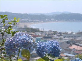 長谷寺の高台（あじさい散策路）の石段を上って行くと、鎌倉の海（由比ヶ浜）を望む景色が広がる。