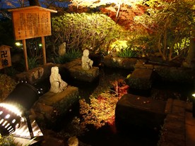 池の水面に映る紅葉に趣を感じる。