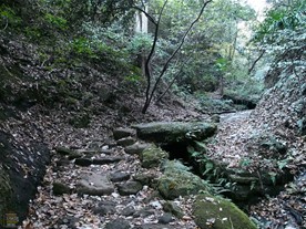 自然に包まれた道。神武寺へは神武寺駅からと東逗子駅から行くことができる。「神武寺駅」と名乗るぐらいなので、神武寺駅側から神武寺へ向かうこの道が表参道になると思いきや、こちらは裏参道とのこと。