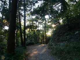 神武寺から表参道を歩いて東逗子駅へ向かう。裏参道と比べると道が平坦で歩きやすい。