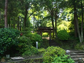 浄智寺は比較的駅に近い場所にありながら、周囲を木々に囲われた境内は山寺を思わせる佇まい。写真左下に見えるのは前述の「甘露ノ井」。