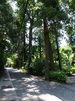 浄智寺脇の道を進んでゆくと葛原岡・大仏ハイキングコースにつながる。