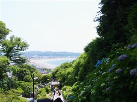 鎌倉観光スポット（長谷散策コース周辺） 成就院