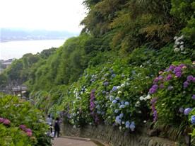 頂上付近からの眺め。この日の天気は曇りで空は真っ白。青空だったら最高なのだがこれでも十分満足。