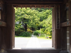 鎌倉の花の寺社を巡る散策コース 観光スポット紹介 鎌倉観光マップス 鎌倉の花の寺社を巡る散策コース 観光スポット紹介 鎌倉観光マップス