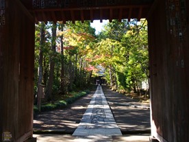 総門を潜ると長い参道が続く。