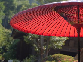 海蔵寺の山門をくぐるとまず目につくのがこの紅い傘。拝観料はここで納める。