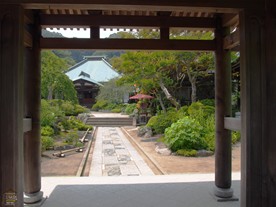 山門越しにみる夏の海蔵寺境内。紅い傘の奥に見えるのがノウゼンカズラ。