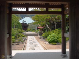 鎌倉の花の寺社を巡る散策コース 観光スポット紹介 鎌倉観光マップス 鎌倉の花の寺社を巡る散策コース 観光スポット紹介 鎌倉観光マップス