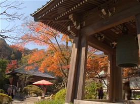 海蔵寺の鐘楼越しに見る紅葉。