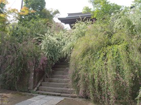 萩（ハギ）のトンネルと化した秋の海蔵寺山門前。