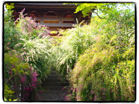 萩名所、海蔵寺