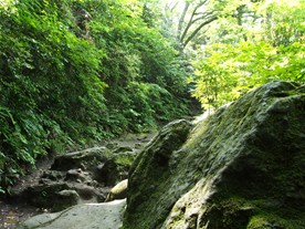 岩がデカイ！それにしても地図で見ると幕府のあった方向は坂下（海蔵寺方面）側のようだが、幕府（※）方面に向かって急な下り坂だったとしたら、防御するうえでは不利だったのでは？とも思うのだがどうっだったのだろう。※最初に建てられた幕府は大倉幕府。その後に移転し鎌倉時代末期には若宮大路の近辺にあったそうです。