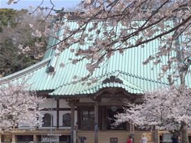 蓮池はこの本堂に上がって回廊を左に進んで行く。