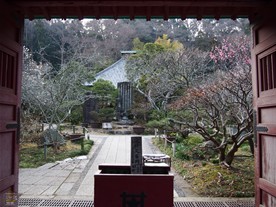 光則寺の総門。総門には拝観料を納める箱が置かれている。箱の上には境内の花マップが用意されており、貰うことができるが境内に咲く花の種類が多いせいか、かなり字が細かい。
