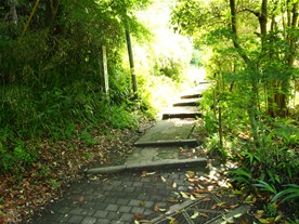 [1]葛原岡・大仏ハイキングコースの浄智寺側の出入口。舗装された階段から始まるが、階段を上ると未舗装の道となる。