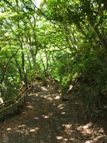 [6]公園内に化粧坂の入口がある。化粧坂は100m程度の短い切通だが、急な斜面になっている。（葛原岡・大仏ハイキングコース）