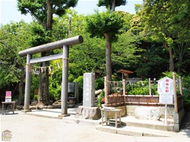 鎌倉ハイキングコースと周辺観光スポット 葛原岡神社