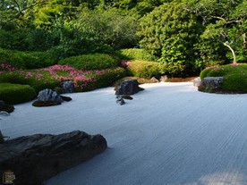 綺麗に手入れされた明月院の枯山水庭園。
