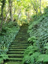 妙法寺の苔石段。なるほどさすがの生し具合。