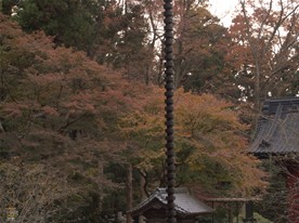 祖師堂から境内を見渡す。お寺ならではの紅葉の景色。