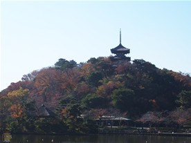 三溪園のシンボル的存在の三重塔。