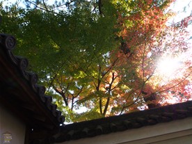 御門脇の紅葉。