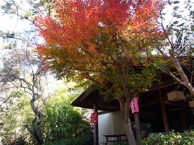 三溪園の園内にはお茶屋があり、甘酒などのメニューが並ぶ。