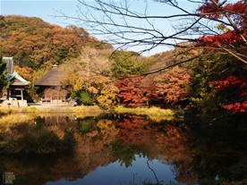 紅葉はあまり多くは見られなかった。
