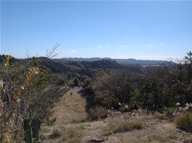 [7]大平山に到着（半僧坊からの所要時間は約45分）。大平山の標高は159.2m。鎌倉アルプスの最高地点。スペースがあり展望も良いため、レジャーシートを敷いて昼食をとる人も多くいた。（天園ハイキングコース）
