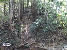 [9]「峠の茶屋」を過ぎると、「獅子舞経由鎌倉宮」の案内板（所要時間は大平山から約15分）。晩秋は紅葉の名所「獅子舞」に寄るのがオススメ。「獅子舞」から降りて、そのまま鎌倉宮に出ることもできる。（天園ハイキングコース）