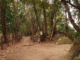 [11]中央に見える木に「ハイキングコースはこちら⇒」とある。すぐそばには「瑞泉寺→」の木札も。ここを右に行くと瑞泉寺脇に出る。獅子舞の案内板[9]から瑞泉寺脇までの所要時間は約40分。（天園ハイキングコース）